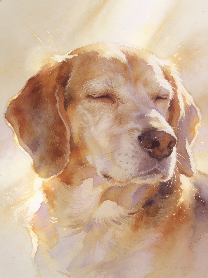 Memoria · Retrato homenaje para tu mascota
